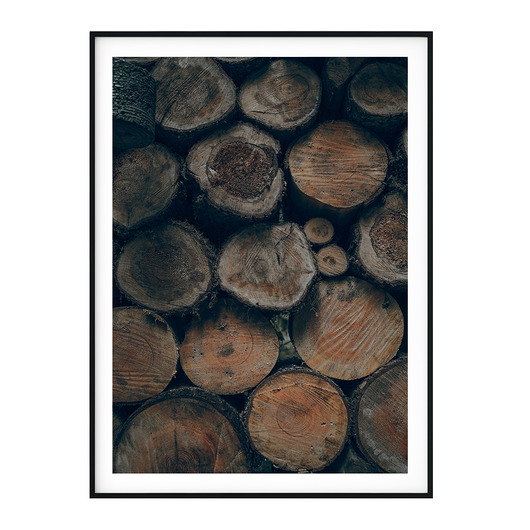 Plakat skandynawski botaniczny Wood no. 2 myscandi