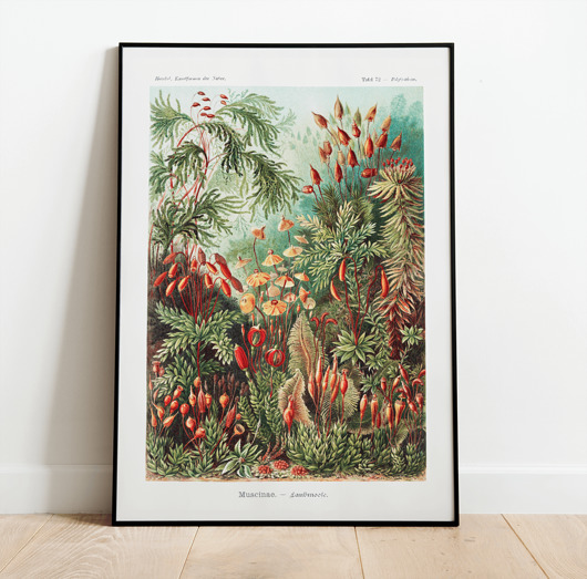 plakaty Plakat BOTANIC GARDEN