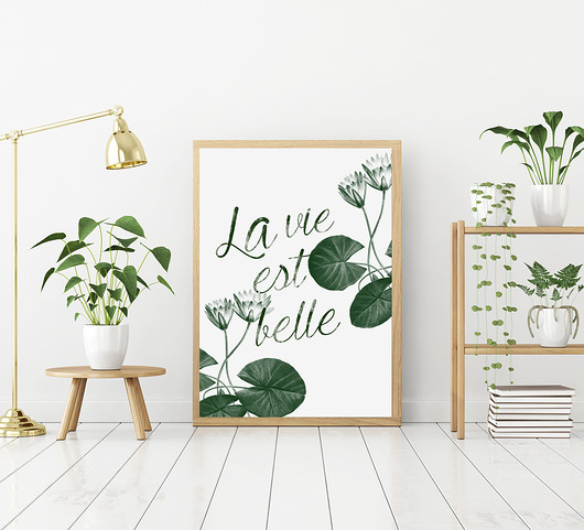 La vie est belle :) A3 Milo Mi
