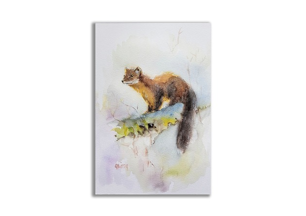 grafiki i ilustracje Akwarela "Kuna Leśna" 