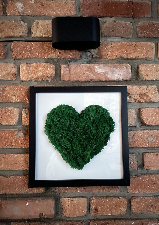 obrazy Żywy Obraz z mchu chrobotka rama 30x30