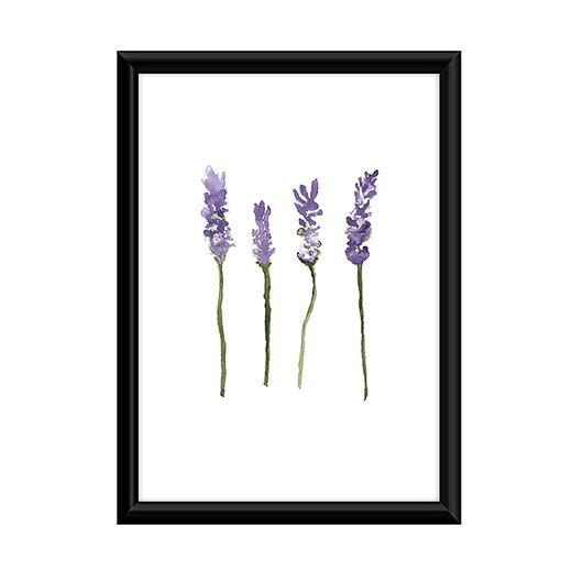 Plakat Lawenda - A4 Gosia Sendlewska