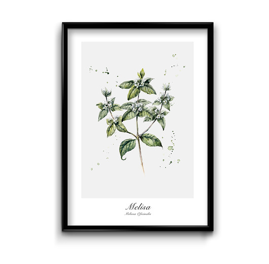 plakaty Plakat Melisa