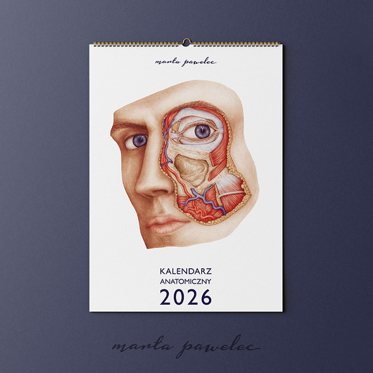 kalendarze i plannery Kalendarz Anatomiczny 2026