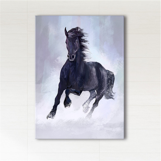 obrazy Obraz - Czarny koń - wydruk na płótnie