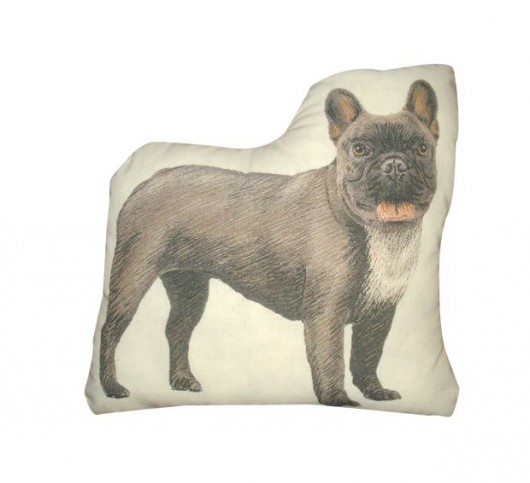 poduszka buldog francuski FOLLOW THE WHITE RABBIT