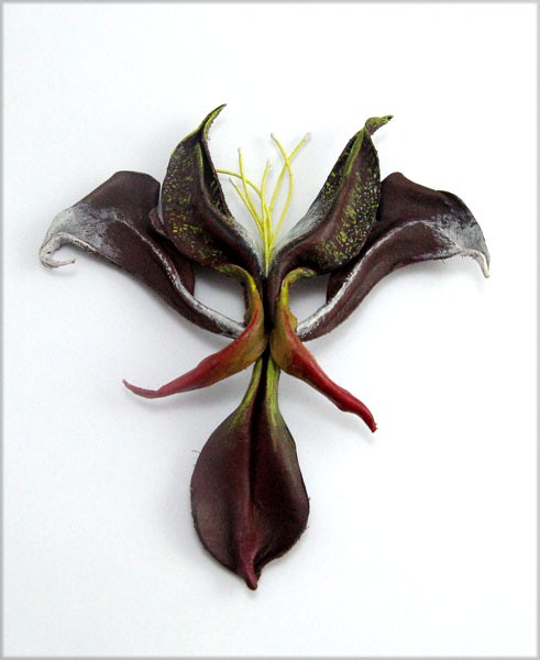 Orchidea PRYZMAT