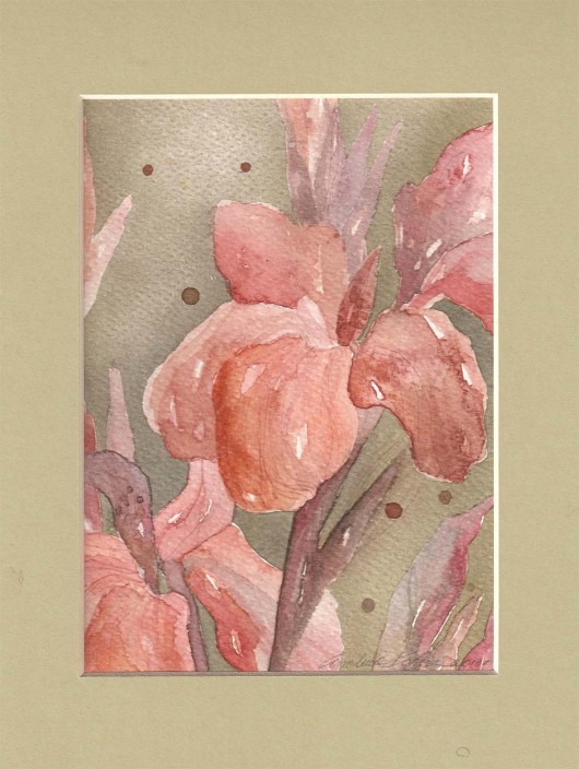 Ognisty kwiat Madame&Rose