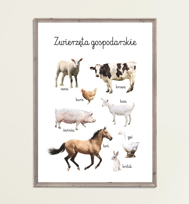obrazy i plakaty do pokoju dziecięcego Plakat Zwierzęta Gospodarskie Montessori Farma