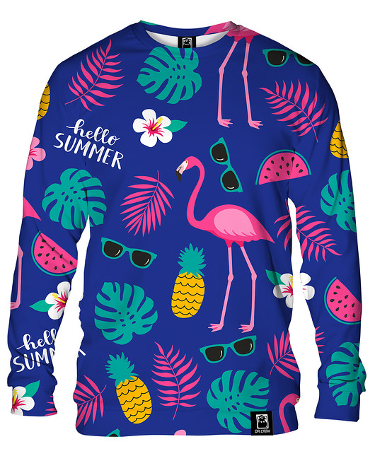 bluzy męskie Bluza Bez Kaptura Męska DR.CROW Hello Summer
