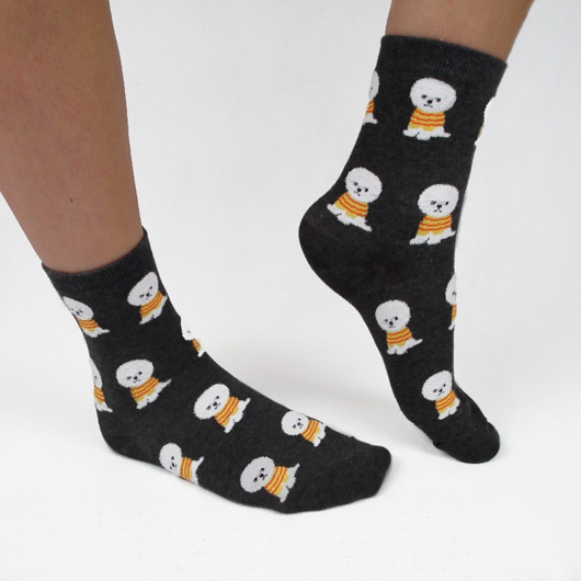 Skarpetki z Maltańczykiem CandySox