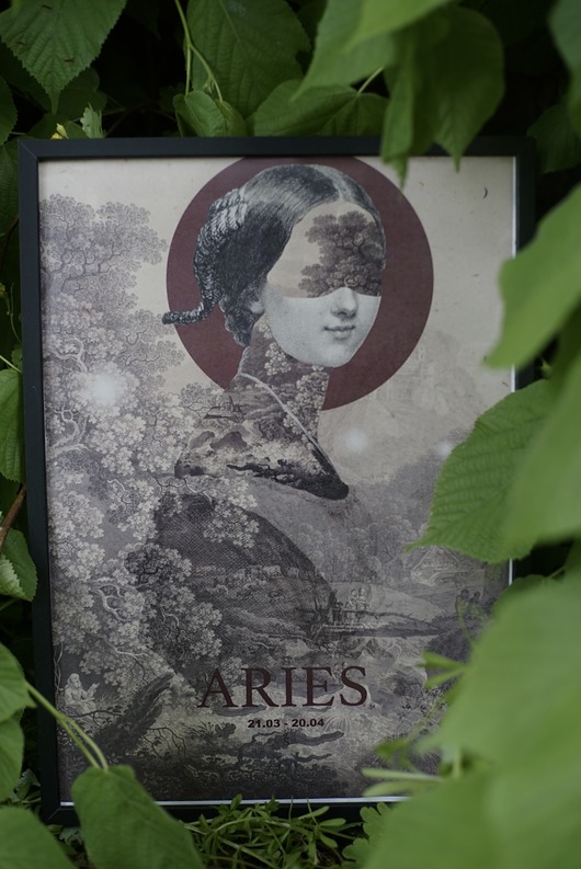 Aries zlepki sklejki