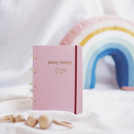 kalendarze i plannery Kalendarz 2024 i organizer 2 w 1