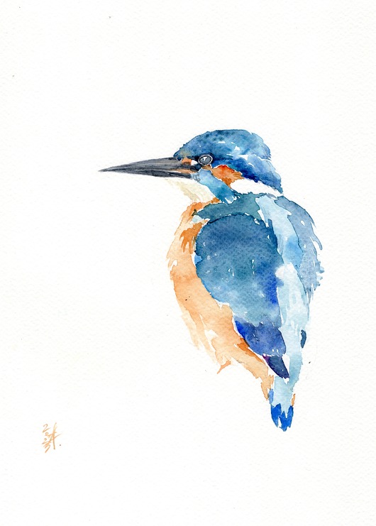 obrazy Oryginalna akwarela. Zimorodek