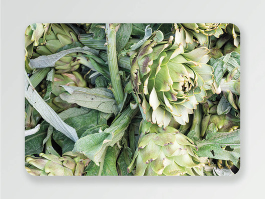 Podkładka ARTICHOKE  Seepoint