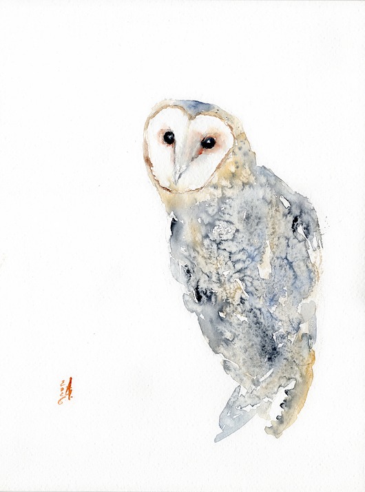 obrazy Oryginalna akwarela. Płomykówka