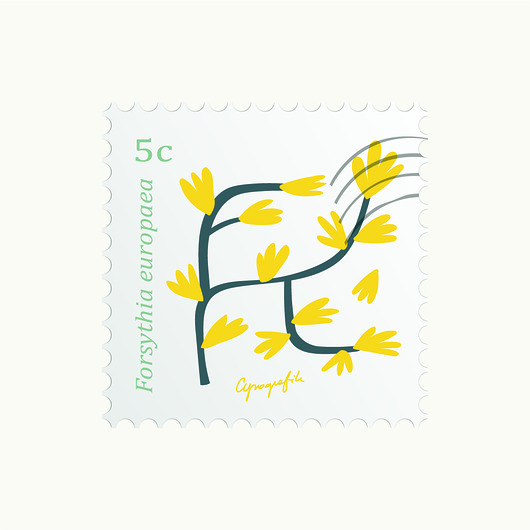 plakaty Forsycja/ seria Herbarium plakat 40x40 cm