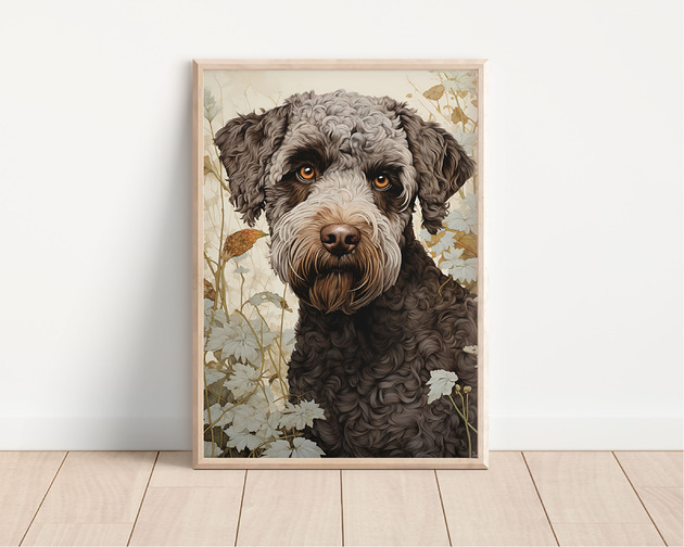 plakaty Plakat lagotto romagnolo