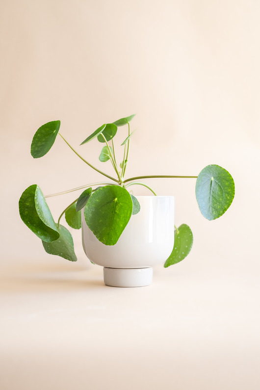 doniczki Donica BULVA beżowa Ø 16 cm