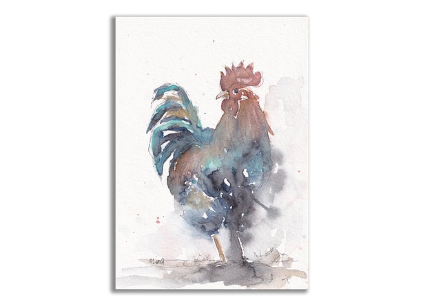 grafiki i ilustracje Kogut. Akwarela ręcznie malowana