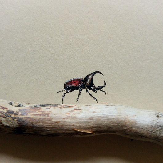 obrazy Rohatyniec nosorożec, Mała Piątka Afryki