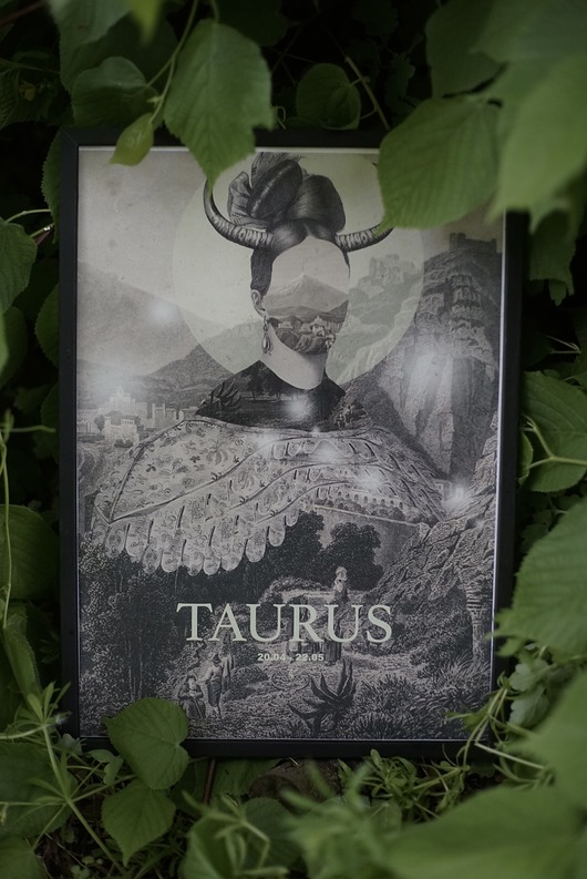 grafiki i ilustracje Taurus