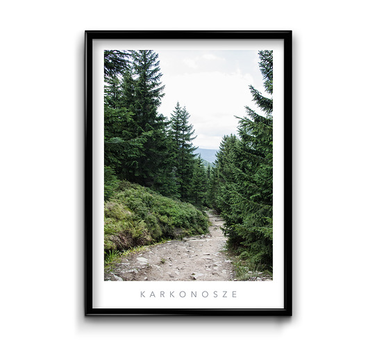 Plakat Karkonosze #1  Bury Lis