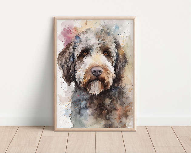 plakaty Plakat lagotto romagnolo