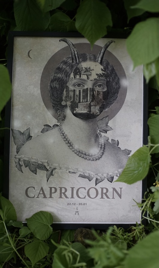 Capricorn zlepki sklejki