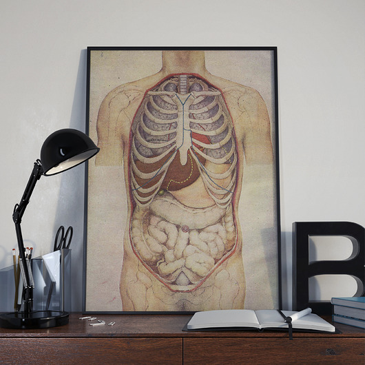Plakat Anatomiczny Dekoracje PATKA Patrycja Kita