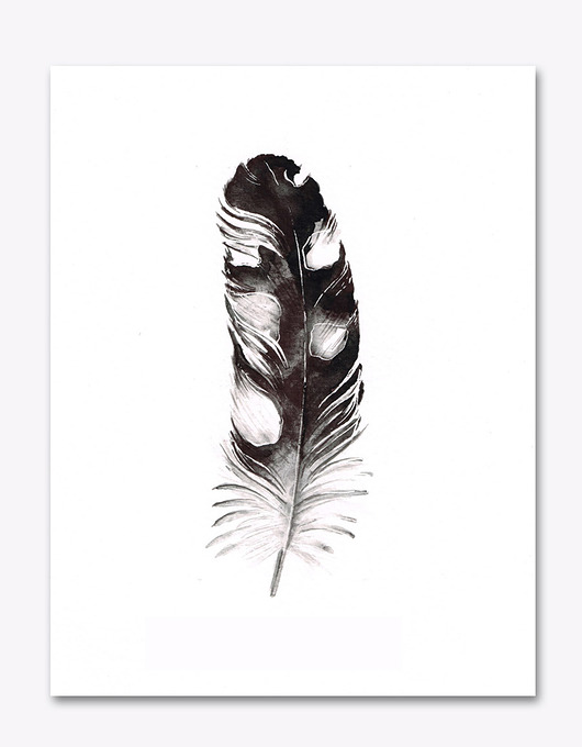 Pióro dzięcioła - plakat, reprodukcja 20x30cm Karolina Kijak