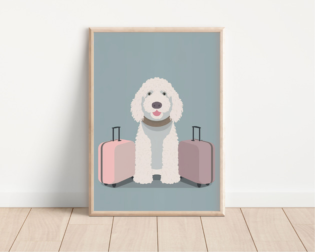 plakaty Plakat lagotto romagnolo