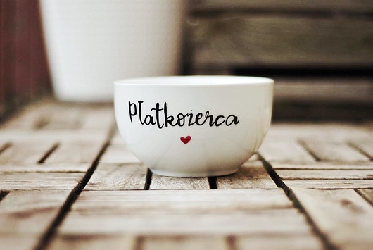 miski i misy Miska PŁATKOŻERCA