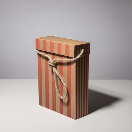 Bag Box - Torba tekturowa 24x8x32 cm pasy czerw. BagStreetBox