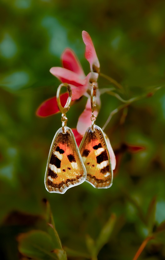 kolczyki z żywicy Kolczyki motyle rusałka osetnik
