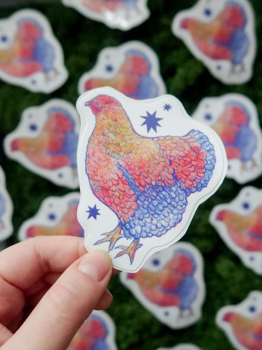 naklejki i wlepy Kurka / naklejka winylowa