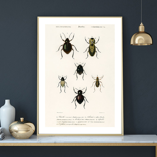 Plakat INSECTS no.3 muybien