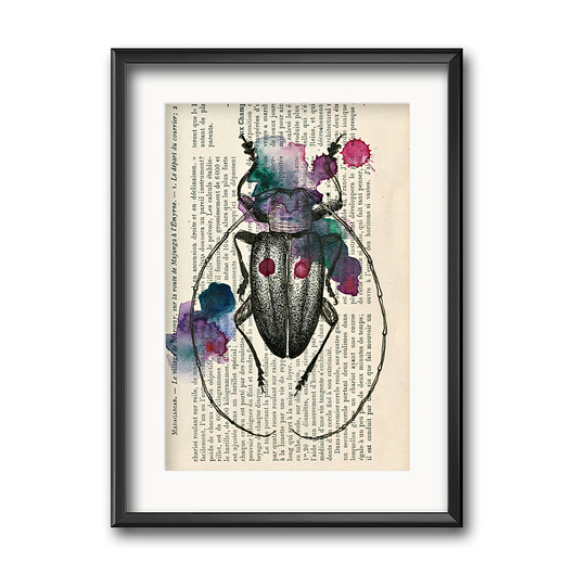grafiki i ilustracje Żuk na gazecie, 30x21cm, A4