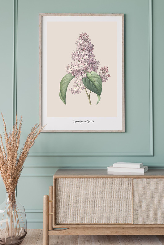 Plakat vintage z motywem roślinnym ' Bez' Szare Kropki