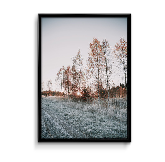 Plakat Szron  Bury Lis