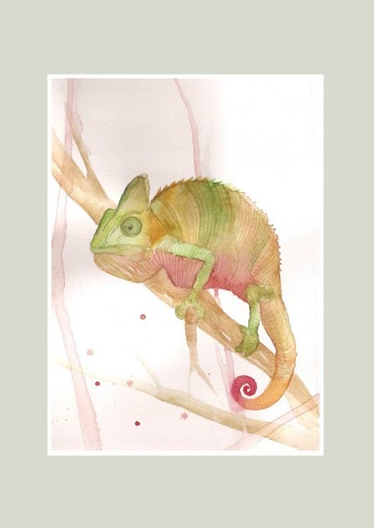 kameleon  Madame&Rose