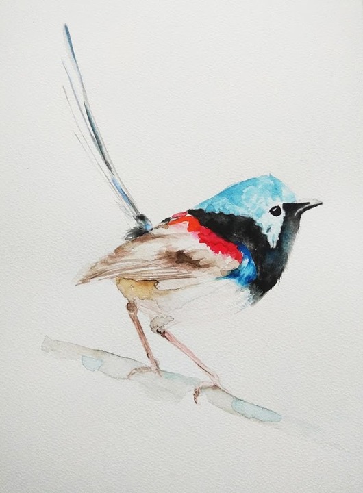 Akwarela Ptak Chwostka Wiktoria Borys Art
