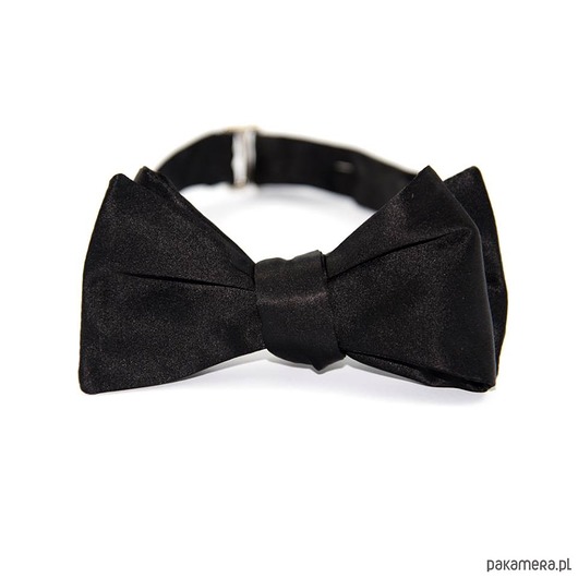 Muszka wiązana jedwabna  The Bow Bow Ties