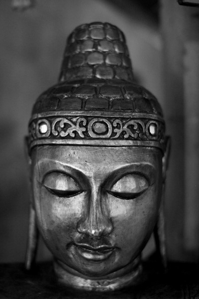 Budda V Chilli Art