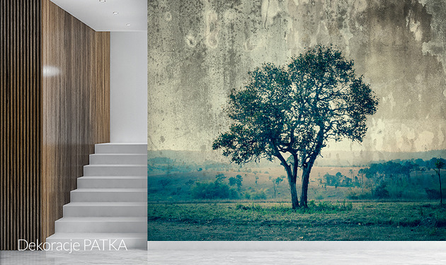 fototapeta Tree -  Fototapeta