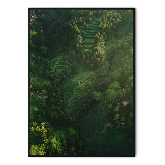 Plakat Bali no. 7 myscandi
