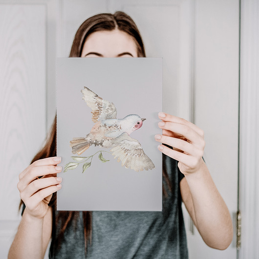 Plakat ptak zięba szary A4 A3 Merely Susan