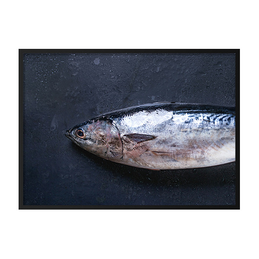 FISH PAIR NO.1, POSTER - Różne rozmiary mermer