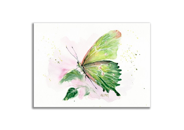 grafiki i ilustracje Obraz oryginalny "Kapustnik" motyl