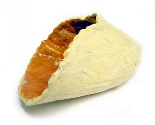 muszla Ursa Minor